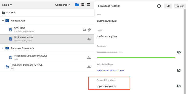 Image of Filling Custom Fields