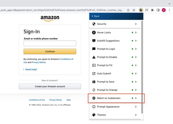 Image of Match on Subdomain Setting